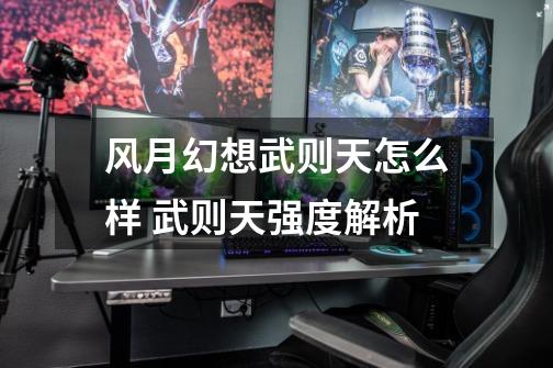 风月幻想武则天怎么样 武则天强度解析-第1张-游戏信息-龙启网
