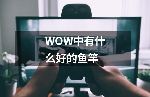 WOW中有什么好的鱼竿-第1张-游戏信息-龙启网