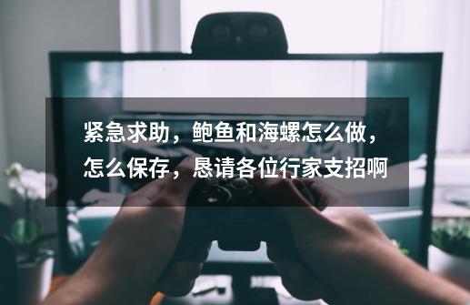 紧急求助，鲍鱼和海螺怎么做，怎么保存，恳请各位行家支招啊-第1张-游戏信息-龙启网