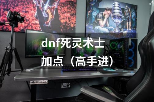 dnf死灵术士加点(高手进)-第1张-游戏信息-龙启网