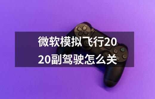 微软模拟飞行2020副驾驶怎么关-第1张-游戏信息-龙启网