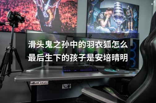 滑头鬼之孙中的羽衣狐怎么最后生下的孩子是安培晴明-第1张-游戏信息-龙启网