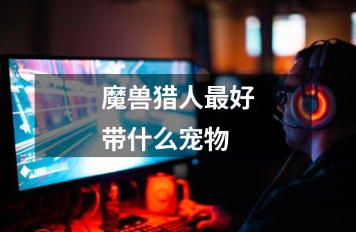 魔兽猎人最好带什么宠物-第1张-游戏信息-龙启网