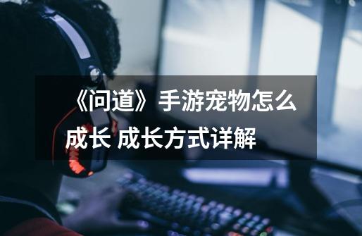 《问道》手游宠物怎么成长 成长方式详解-第1张-游戏信息-龙启网