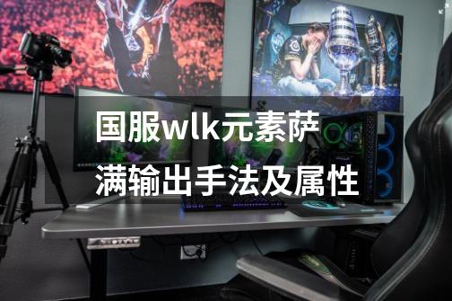国服wlk元素萨满输出手法及属性-第1张-游戏信息-龙启网