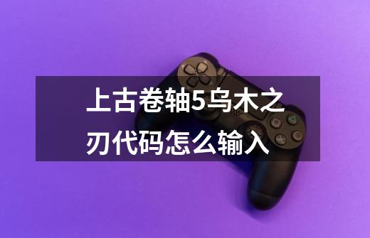 上古卷轴5乌木之刃代码怎么输入-第1张-游戏信息-龙启网