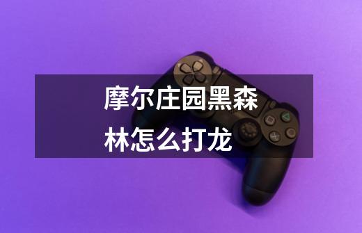 摩尔庄园黑森林怎么打龙-第1张-游戏信息-龙启网