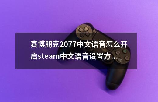 赛博朋克2077中文语音怎么开启steam中文语音设置方法-第1张-游戏信息-龙启网