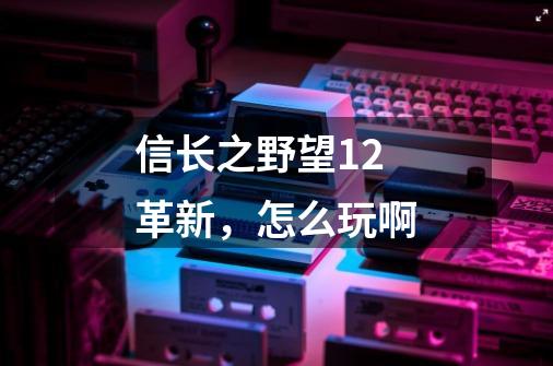 信长之野望12革新,怎么玩啊-第1张-游戏信息-龙启网