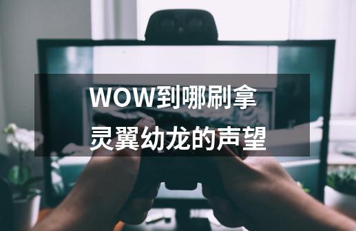 WOW到哪刷拿灵翼幼龙的声望-第1张-游戏信息-龙启网