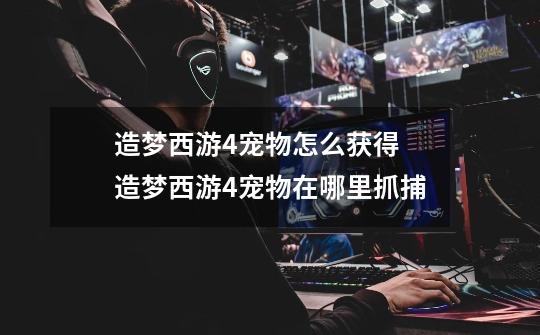 造梦西游4宠物怎么获得 造梦西游4宠物在哪里抓捕-第1张-游戏信息-龙启网