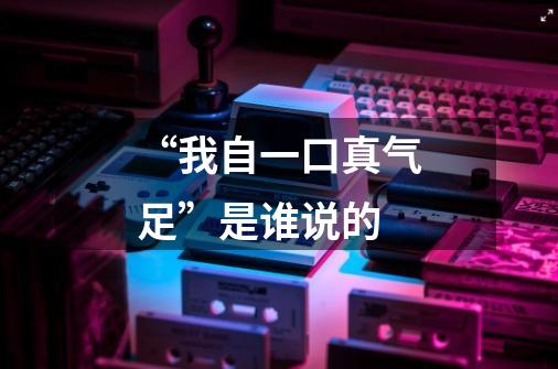 “我自一口真气足”是谁说的-第1张-游戏信息-龙启网