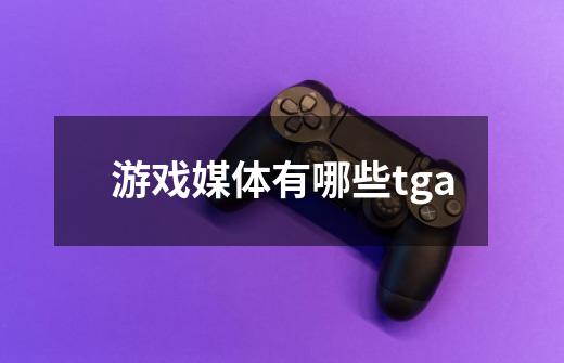 游戏媒体有哪些tga-第1张-游戏信息-龙启网