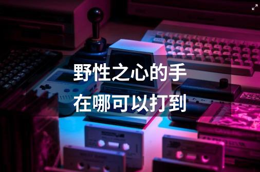 野性之心的手在哪可以打到-第1张-游戏信息-龙启网