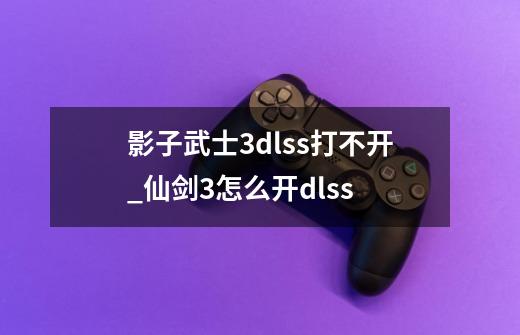 影子武士3dlss打不开_仙剑3怎么开dlss-第1张-游戏信息-龙启网