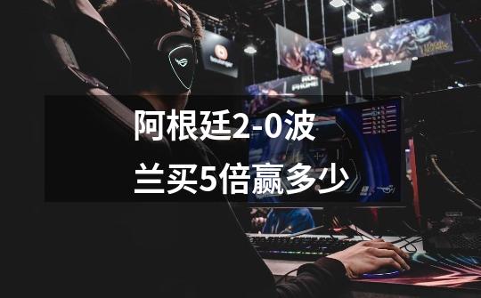 阿根廷2-0波兰买5倍赢多少-第1张-游戏信息-龙启网