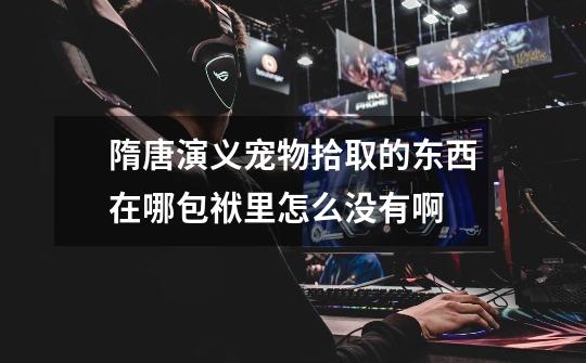 隋唐演义宠物拾取的东西在哪包袱里怎么没有啊-第1张-游戏信息-龙启网