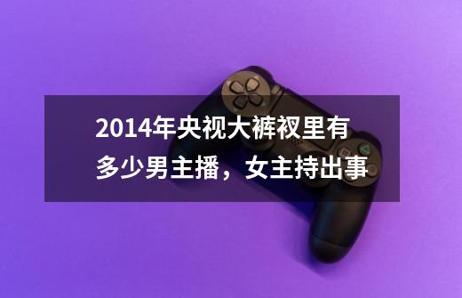2014年央视大裤衩里有多少男主播,女主持出事-第1张-游戏信息-龙启网