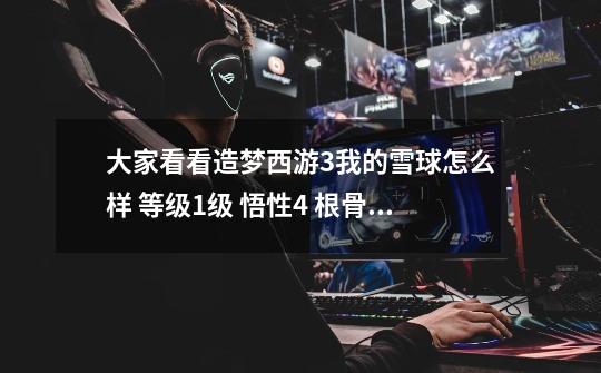 大家看看造梦西游3我的雪球怎么样 等级1级 悟性4 根骨4 灵力2 生命资质717 魔法自治895 攻击资质898-第1张-游戏信息-龙启网