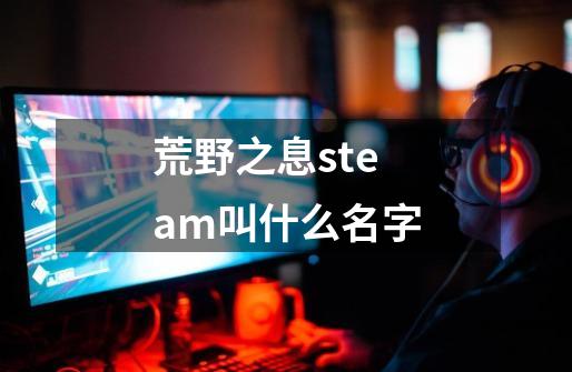 荒野之息steam叫什么名字-第1张-游戏信息-龙启网
