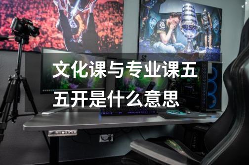 文化课与专业课五五开是什么意思-第1张-游戏信息-龙启网