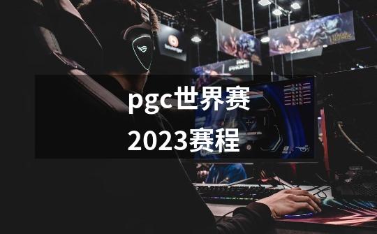 pgc世界赛2023赛程-第1张-游戏信息-龙启网