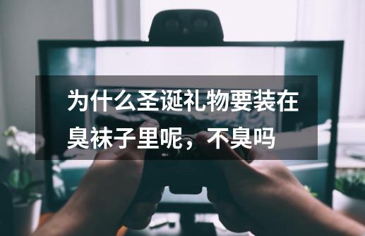为什么圣诞礼物要装在臭袜子里呢,不臭吗-第1张-游戏信息-龙启网