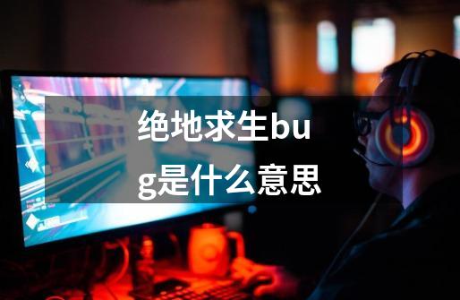 绝地求生bug是什么意思-第1张-游戏信息-龙启网