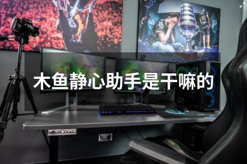 木鱼静心助手是干嘛的-第1张-游戏信息-龙启网