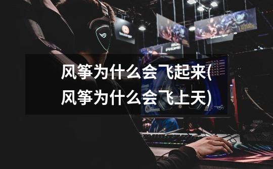风筝为什么会飞起来(风筝为什么会飞上天)-第1张-游戏信息-龙启网
