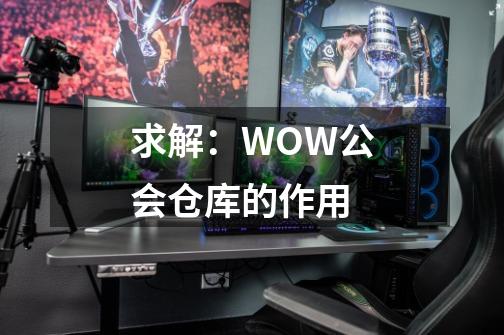 求解:WOW公会仓库的作用-第1张-游戏信息-龙启网
