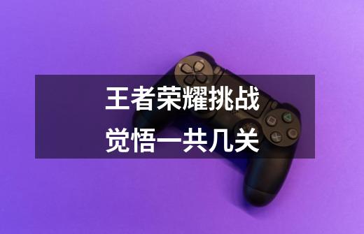 王者荣耀挑战觉悟一共几关-第1张-游戏信息-龙启网