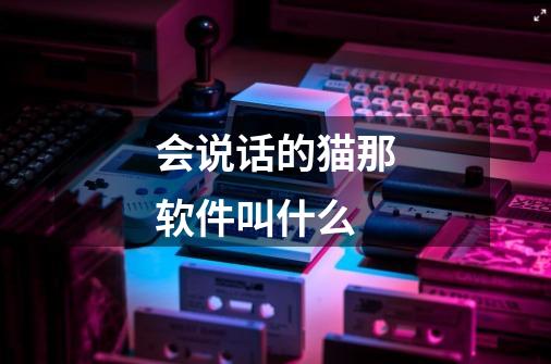 会说话的猫那软件叫什么-第1张-游戏信息-龙启网