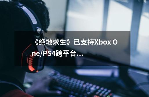 《绝地求生》已支持Xbox One/PS4跨平台联机,玩家能组队吗-第1张-游戏信息-龙启网