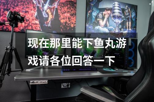 现在那里能下鱼丸游戏请各位回答一下-第1张-游戏信息-龙启网