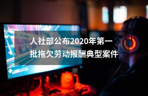 人社部公布2020年第一批拖欠劳动报酬典型案件-第1张-游戏信息-龙启网
