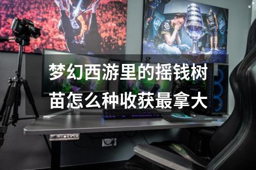 梦幻西游里的摇钱树苗怎么种收获最拿大-第1张-游戏信息-龙启网