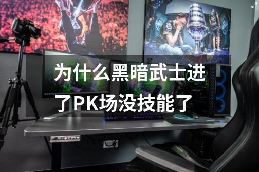 为什么黑暗武士进了PK场没技能了-第1张-游戏信息-龙启网
