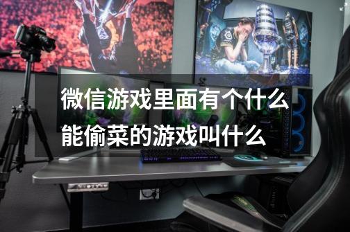 微信游戏里面有个什么能偷菜的游戏叫什么-第1张-游戏信息-龙启网