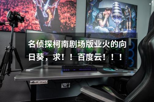 名侦探柯南剧场版业火的向日葵，求！！百度云！！！-第1张-游戏信息-龙启网