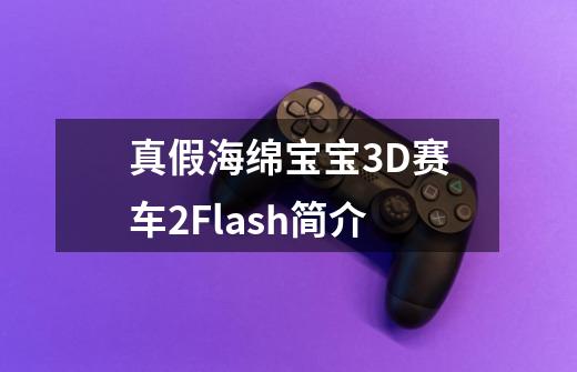 真假海绵宝宝3D赛车2Flash简介-第1张-游戏信息-龙启网