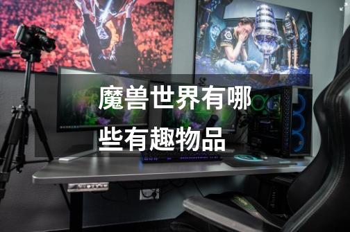 魔兽世界有哪些有趣物品-第1张-游戏信息-龙启网