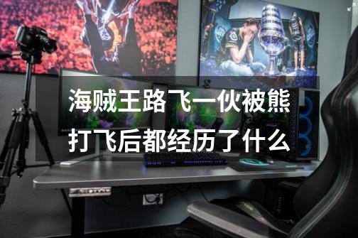 海贼王路飞一伙被熊打飞后都经历了什么-第1张-游戏信息-龙启网