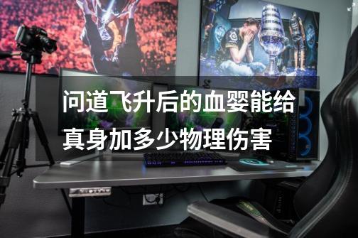 问道飞升后的血婴能给真身加多少物理伤害-第1张-游戏信息-龙启网