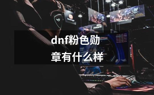 dnf粉色勋章有什么样-第1张-游戏信息-龙启网