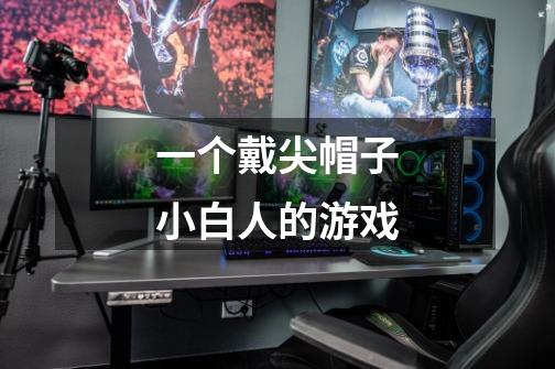 一个戴尖帽子小白人的游戏-第1张-游戏信息-龙启网