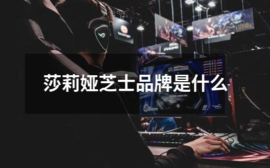 莎莉娅芝士品牌是什么-第1张-游戏信息-龙启网