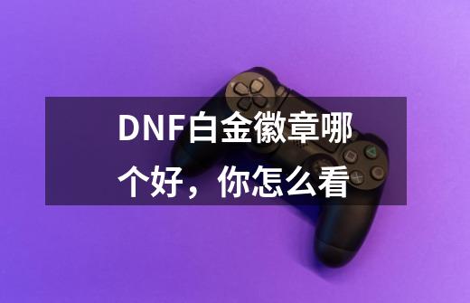 DNF白金徽章哪个好,你怎么看-第1张-游戏信息-龙启网