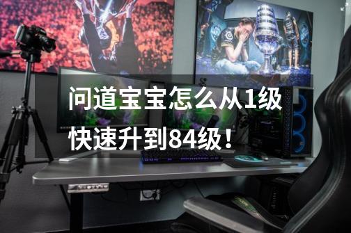 问道宝宝怎么从1级快速升到84级！-第1张-游戏信息-龙启网