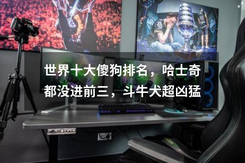 世界十大傻狗排名,哈士奇都没进前三,斗牛犬超凶猛-第1张-游戏信息-龙启网